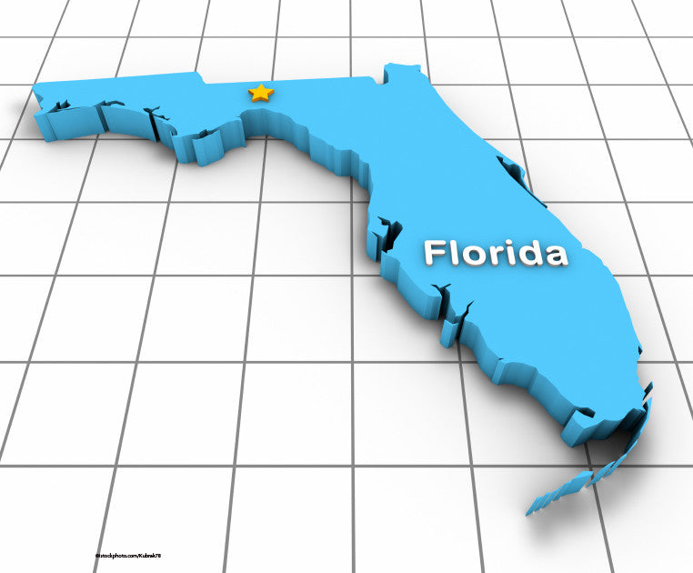 PACKAGE: Florida Core: HIV/AIDS, Domestic Violence, Medical Error - 6 CEs